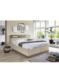 Westfalia Schlafkomfort Boxspringbett, mit LED-Beleuchtung beige dunkelbeige/beige