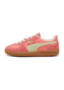 Puma, Hommes Baskets basses 'Palermo', mastic / corail / saumon