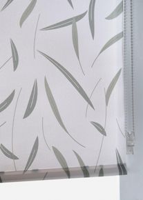 Blendschutz Sichtschutzrollo mit Blatt Druck in weiss | 150x50 cm | bonprix