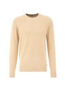 WE Fashion, Hommes Pull-over, chamois
