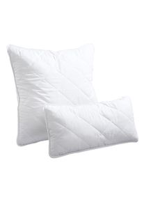 Polyester Kissen in weiss | 40x80 cm | bonprix