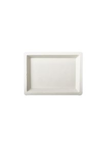 Papstar 50 Zuckerrohr Teller Aida eckig 10 x 13,5cm