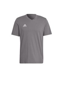 adidas Performance Shirt 'Entrada 22' Herren, grau / weiß, Größe M
