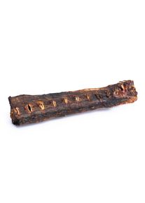 Thunfisch Tomahawk Knochen f&uuml;r Hunde (1 Stk mit ca. 90-120g)
