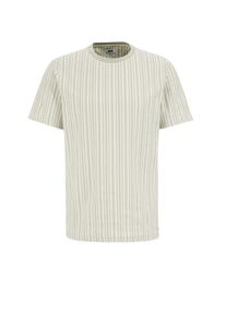 WE Fashion, Hommes T-Shirt, écru / vert pastel