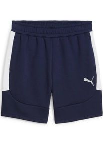 Puma, Hommes Pantalon de sport 'TeamEVOSTRIPE', bleu marine / blanc