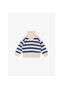 Tommy Hilfiger Kids Rollkragenpullover blau gestreift