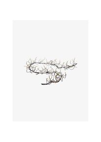 STT Guirlande lumineuse LED Angel Cluster 480 noir