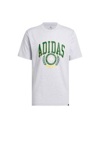 adidas Sportswear Funktionsshirt 'Varsity Crest Graphic' Herren, gelb / hellgrau / gr&uuml;n / wei&szlig;, Gr&ouml;&szlig;e S