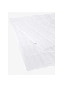 Globus Duvet Erfurt