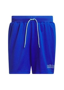 adidas Performance, Hommes Pantalon de sport 'Select', bleu / blanc