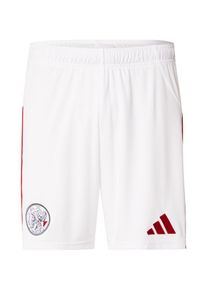 adidas Performance, Hommes Pantalon de sport 'Ajax 25/26', rouge foncé / noir / blanc