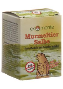 exmonte Murmeltier Salbe