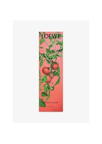 Loewe Räucherstäbe Tomato Leaves
