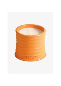 Loewe Duftkerze Orange Blossom