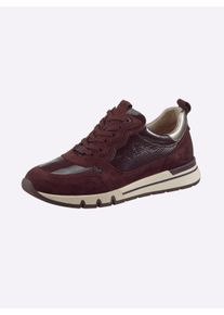 Caprice Witt Damen Sneaker mit seitlichem Gummizug, burgund, Gr&ouml;&szlig;e 38, 50% Lackleder, 40% Veloursleder, 10% Glattleder