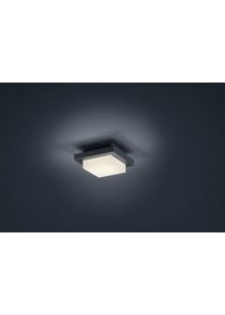Trio HONDO Decken- Wandleuchte LED Anthrazit, 1-flammig