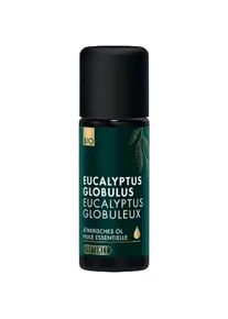 PHYTOMED Eucalyptus globulus Ätherisches Öl Bio, 10 ml