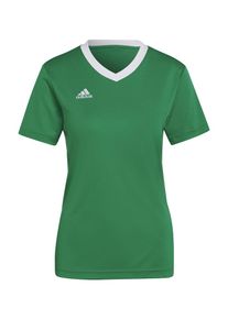 adidas Performance Trikot 'Entrada 22' Damen, grün / weiß, Größe M