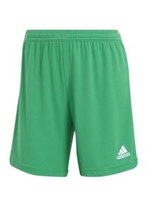 adidas Performance Sportshorts 'Entrada 22' Damen, limette / wei&szlig;, Gr&ouml;&szlig;e M/L