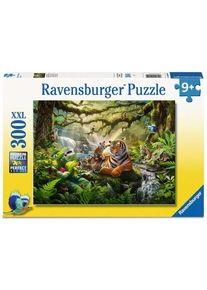 Ravensburger Wildnis Wunder - ab 9 Jahre