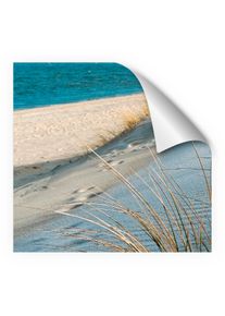 MySpotti Fresh Duschr&uuml;ckwandfolie 90 x 210 cm Motiv Sea Cost - Campingduschen & Zubeh&ouml;r