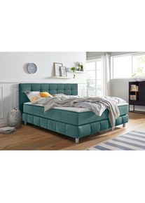 Boxspringbett »Salo XXL«, in Samtoptik oder Struktur, 6 Breiten in Überlänge 220cm, 4 Härtegrade , grün , Andas