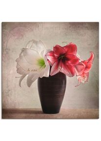 Wandbild »Amaryllis Vintage I«, Blumen, (1 St.), als Alubild, Outdoorbild, Leinwandbild in verschied. Grössen , beige , Artland