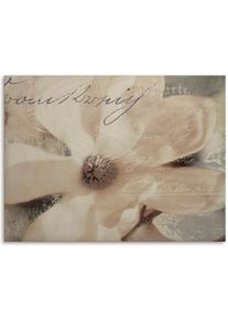 Holzbild »Magnolie_Detail«, Pflanzen- & Blumenbilder, (1 St.) , weiss , Artland