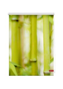 Seitenzugrollo »Rollo Klemmfix, ohne Bohren, Verdunkelung, Bambus - Grün« verdunkelnd Verdunkelung energiesparend freihängend , grün , LICHTBLICK...
