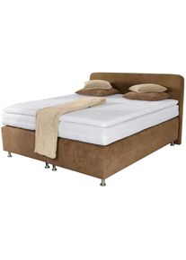 Boxspringbett inkl. Kaltschaum-Topper , braun , Westfalia Schlafkomfort