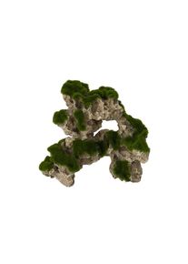 Aquariendeko»AquaDellaMossRock« , grün