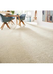 ANDIAMO, Teppichboden &raquo;Softness, Velours, Made in Belgium&laquo; rechteckig 17 mm H&ouml;he Uni Farben, Breite 400 cm, besonders weich, Wohnzimmer, Schlafzimmer,