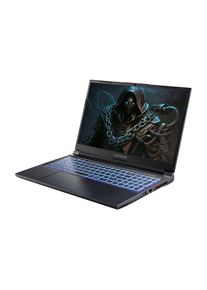 Captiva , Gaming-Notebook »Advanced Gaming I74-217CH«, 39,46 cm, / 15,6 Zoll, Intel, Core i9, GeForce RTX 4060, 1000 GB SSD , schwarz , 1x USB 3.0...