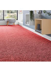 ANDIAMO , Teppichboden »Matz, Schlinge, Made in Belgium« rechteckig 6 mm Höhe meliert, Breite 400 cm oder 500 cm, strapazierfähig & pflegeleicht , rot