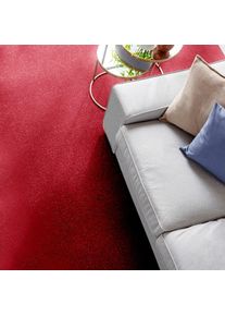 ANDIAMO, Teppichboden &raquo;Kira, Velours, Made in Belgium&laquo; rechteckig 8 mm H&ouml;he Uni Farben, Breite 400 cm, strapazierf&auml;hig, pflegeleicht, Wohnzimmer, 