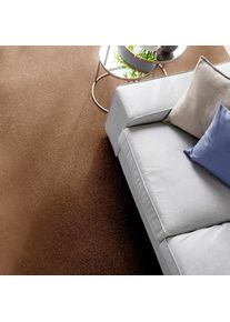 ANDIAMO , Teppichboden »Kira, Velours, Made in Belgium« rechteckig 8 mm Höhe Uni Farben, Breite 400 cm, strapazierfähig, pflegeleicht, Wohnzimmer ,...