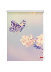 LICHTBLICK Original, LICHTBLICK ORIGINAL Seitenzugrollo &raquo;Rollo Klemmfix, ohne Bohren, Verdunkelung, Schmetterling - Rosa&laquo; verdunkelnd Verdunkelung 