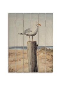 Holzbild »Möwe«, Vogelbilder, (1 St.) , weiss , Artland