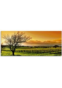 Glasbild »Landschaft mit Weinbergen«, Felder, (1 St.), in verschiedenen Grössen , orange , Artland