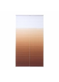 Liedeco, Plissee &raquo;Farbverlauf&laquo; Lichtschutz ohne Bohren verspannt, braun, Obermaterial: 100% Polyester