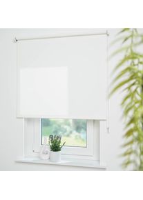 Liedeco, Seitenzugrollo &raquo;Uni&laquo; Lichtschutz mit Bohren freih&auml;ngend Montage ohne Bohren zum Klemmen mit separatem Klemmtr&auml;ger m&ouml;glich, wei&szlig;, Polyester