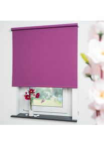 Liedeco, Seitenzugrollo &raquo;Uni&laquo; verdunkelnd energiesparend mit Bohren, brombeere, Polyester