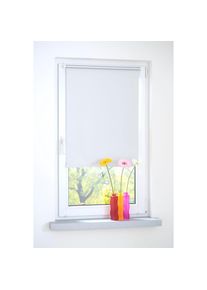 Liedeco, Seitenzugrollo blickdicht energiesparend ohne Bohren, wei&szlig;, Polyester