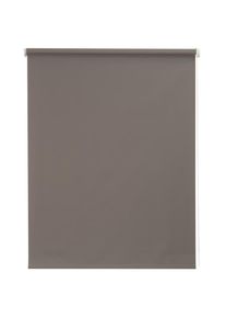 Seitenzugrollo &raquo;Uni&laquo; verdunkelnd energiesparend mit Bohren 1 St&uuml;ck , grau , SUNLINES , Obermaterial: 100% Polyester