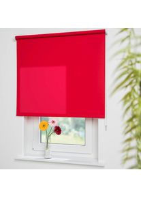 Liedeco, Seitenzugrollo &raquo;Uni&laquo; Lichtschutz mit Bohren freih&auml;ngend Montage ohne Bohren zum Klemmen mit separatem Klemmtr&auml;ger m&ouml;glich, dunkelrot, 