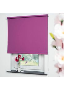 Liedeco, Seitenzugrollo &raquo;Uni&laquo; verdunkelnd energiesparend mit Bohren, brombeere, Polyester