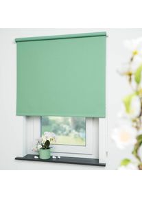 Liedeco, Seitenzugrollo &raquo;Uni&laquo; verdunkelnd energiesparend mit Bohren, blattgr&uuml;n, Polyester