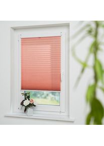 Liedeco, Plissee &raquo;Lachs&laquo; Lichtschutz ohne Bohren verspannt, lachs, wei&szlig;, Obermaterial: 95% Polyester, 5% sonstige Fasern