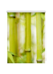 Seitenzugrollo »Klemmfix Motiv Bambus« Lichtschutz ohne Bohren freihängend bedruckt , grün , LICHTBLICK ORIGINAL , Obermaterial: 100% Polyester